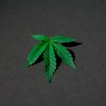 Buy marijuana in Genoa image_185.jpg