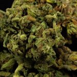 Buy cannabis in Florence image_727.jpg