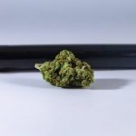 420 shop in Pozna image_776.jpg