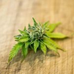 THC vapes delivery in Duisburg images67.jpg